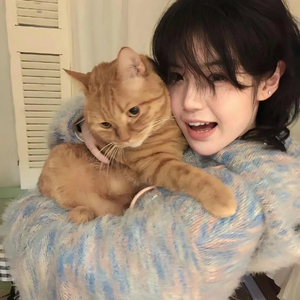 少年白马醉春风剧场版