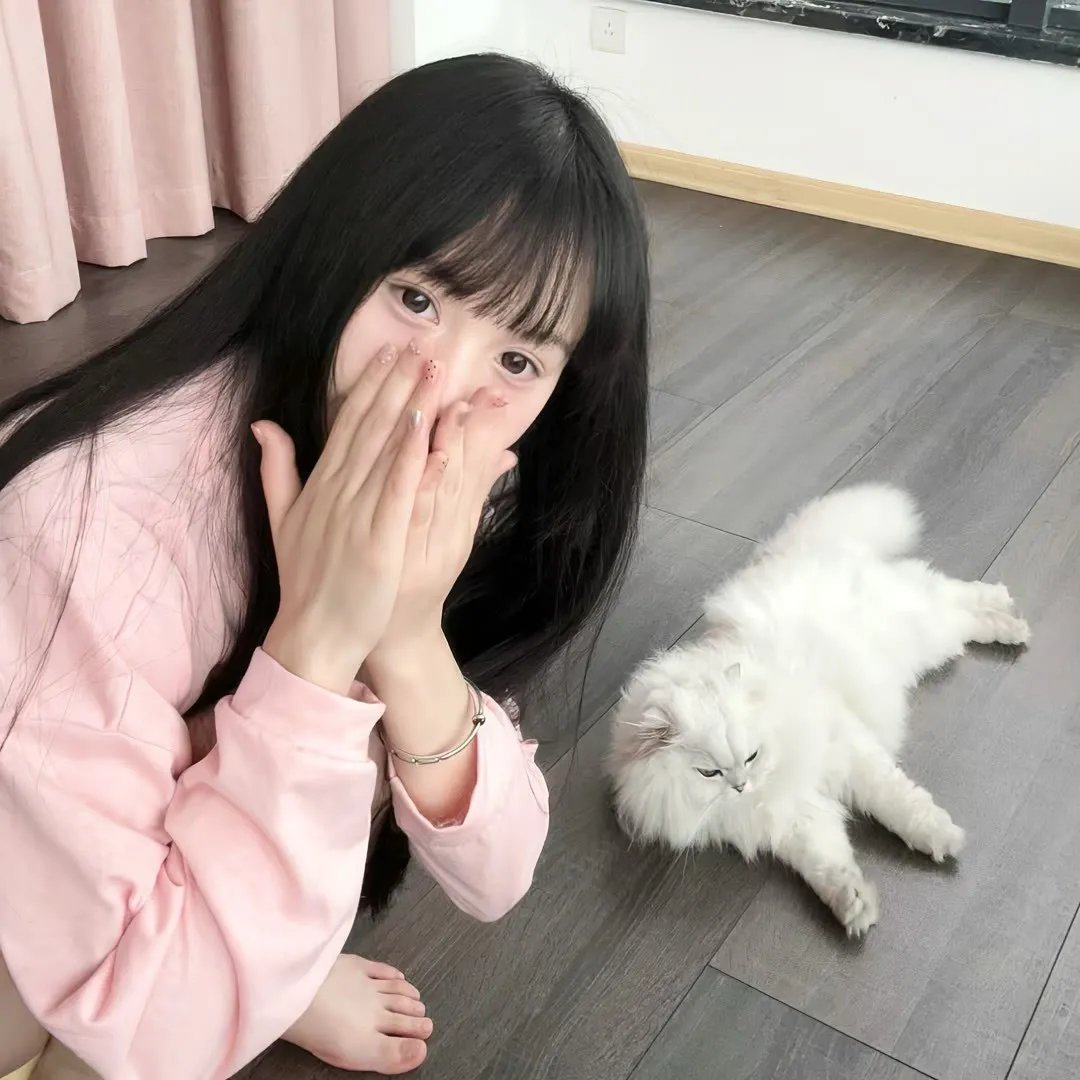 再见黄埔滩国语